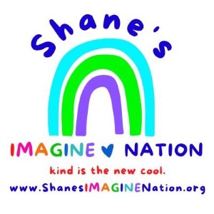 Logo Shanes Imagine Nation