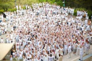 2025, Opio XGOs in white